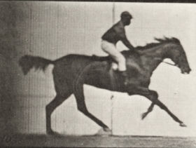 Plate 627 'Annie G' galloping — figure reference